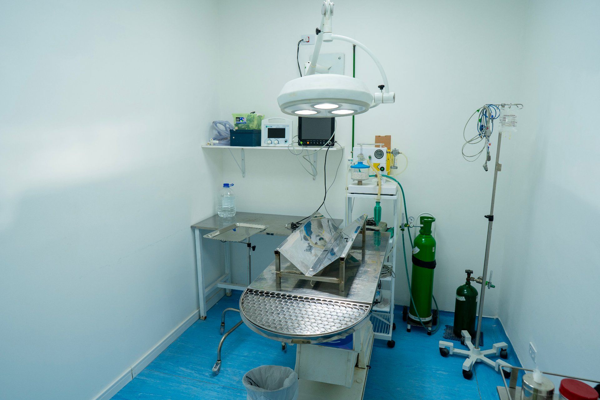 Endoscopia Landing Image